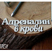 Украшение из чипборда "Адреналин в крови" (Fantasy)