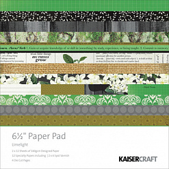 Набор бумаги 16,5х16,5 см "Limelight", 40 листов (Kaiser)
