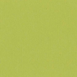 Кардсток Bazzill Basics 30,5х30,5 см однотонный с текстурой льна, цвет яблочный