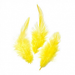 Набор перьев "Петух. Желтые" (Knorr Prandell)