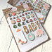 Набор брадсов с наклейками из плотного картона "Baby girl" (Echo Park)