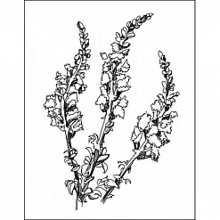 Штамп "Цветы и травы", 5,2х8,4 см (Арт-кладовая)