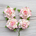 Набор цветов "Кудрявая роза, бело-розовая", 4 шт (ScrapBerry's)