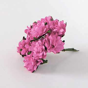 Букет астр "Фуксия", 10 шт (Craft)