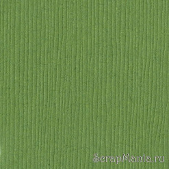 Кардсток Bazzill Basics 30,5х30,5 см однотонный с текстурой льна, цвет зеленый лист