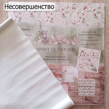 БРАК Набор бумаги 30х30 см "Spirit of nature" и 1 отрез экокожи