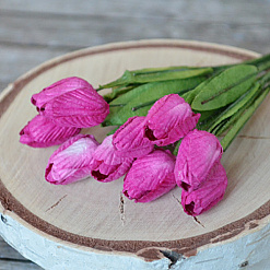 Набор тюльпанов "Фуксия", 10 шт (Craft)