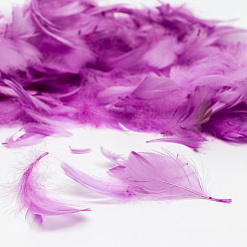 Набор перьев "Светло-фиолетовый"