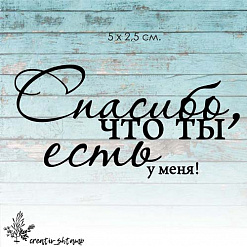 Штамп "Спасибо, что ты есть", 5х2,5 см (Креатив)
