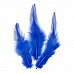 Набор перьев "Петух. Синие" (Knorr Prandell)