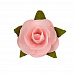 Букетик мини-роз с открытым бутоном "Талея. Розовое кружево", 12 шт (Mr.Painter)