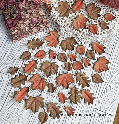 Набор листьев "Осенний микс с капельками росы", 40 шт (Ferd)