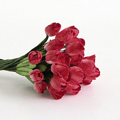 Набор тюльпанов "Красные", 10 шт (Craft)