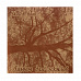 Альбом для зарисовок 21х21 см в мягкой обложке "Дерево", 40 листов