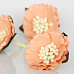 Цветок китайского пиона "Крупные тычинки. Персиковый", 1 шт (Craft)
