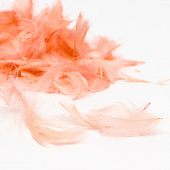 Набор перьев "Розовый"