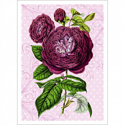 Тканевая карточка "Оранжерея. Пурпурная роза" (ScrapMania)