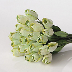 Набор тюльпанов "Светло-зеленые", 10 шт (Craft)