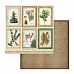 Набор бумаги 30х30 см "Winter botanic", 10 листов (Stamperia)
