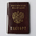 Обложка для паспорта прозрачная 18,5х13 см