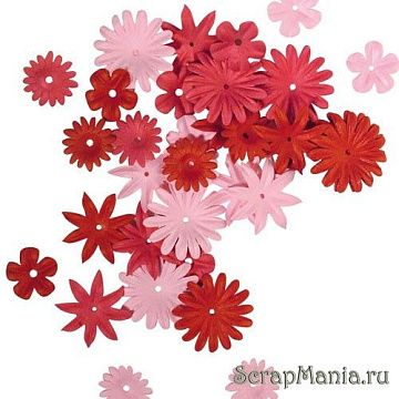 Набор цветов в тубе, красные/розовые оттенки (Rayher)