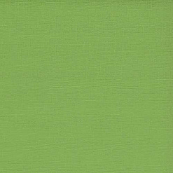 Кардсток с текстурой "Зелёный папоротник", 30х30 см (ScrapBerry's)