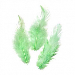 Набор перьев "Петух. Зеленые" (Knorr Prandell)