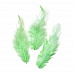Набор перьев "Петух. Зеленые" (Knorr Prandell)