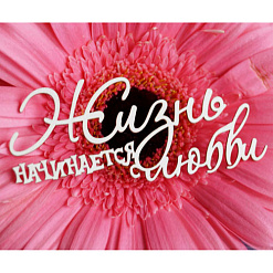 Чипборд "Жизнь начинается с любви", 8х3,6 см (LeoMammy)
