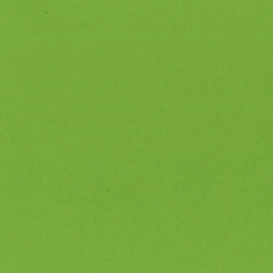 Кардсток Bazzill Basics 30,5х30,5 см однотонный гладкий, цвет светло-зеленый