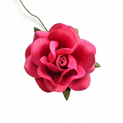 Цветок садовой розы "Клюквенный"
