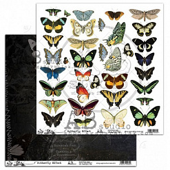 Бумага "Butterfly effect" (AgaBaraniak)