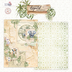 Набор бумаги А5 "Tropical adventure", 12 листов (DreamLight Studio)