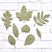 Набор вырубок из бумаги "Опавшие листья", цвет серо-зеленый (ScrapMania)