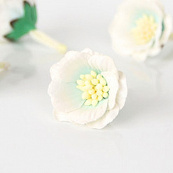 Цветок сенполии "Белый с голубой серединкой", 1 шт (Craft)
