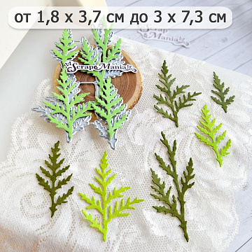 Нож "Веточки туи 2", 3,8х5,6 см (ScrapMania)