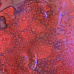 Сухая краска-спрей сияющая "Bougainvillea Fuchsia Shimmer" (Lindy's)