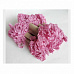 Шебби лента "Розовая астра", ширина 1,5 см, длина 5 м (Craft)