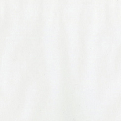 Пергаментная бумага Bazzill Basics 30,5х30,5 см, цвет белый