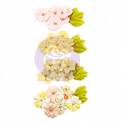 Набор бумажных цветов "Fruit paradise. Lime peel" (Prima Marketing)