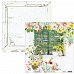 Набор бумаги 15х15 см "Beauty in Bloom", 24 листа (Mintay)