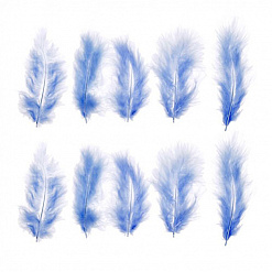 Набор перьев "Марабу. Голубой"