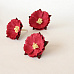 Цветок китайского пиона "Красный", 1 шт (Craft)
