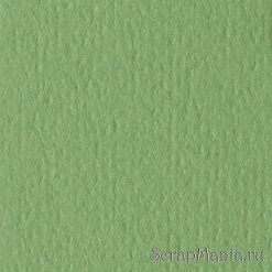 Кардсток Bazzill Basics 30,5х30,5 см однотонный с текстурой апельсиновой кожуры, цвет травяной