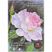 Набор бумаги для акварели А4 "Розовый сад. Лен", 20 листов (Palazzo)