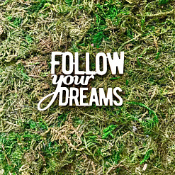 Чипборд "Follow your dreams", 3,5х5,4 см (Белый кот)