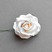 Цветок розы большой "Зефирный белый"