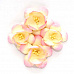 Набор цветов "Сакура, розово-бежевые", 4 шт (ScrapBerry's)