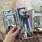Три открытки из коллекции "Тайга"