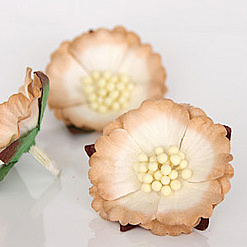 Цветок китайского пиона "Крупные тычинки. Светло-бежевый двухтоновый", 1 шт (Craft)